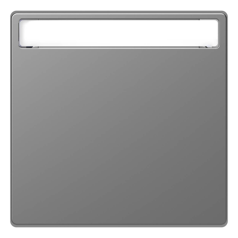 Клавиша одинарная Schneider Electric Merten D-Life MTN3360-6036