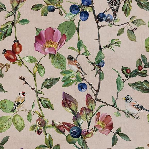 Обои Coordonne 9500032N Goldfinch Song Blush
