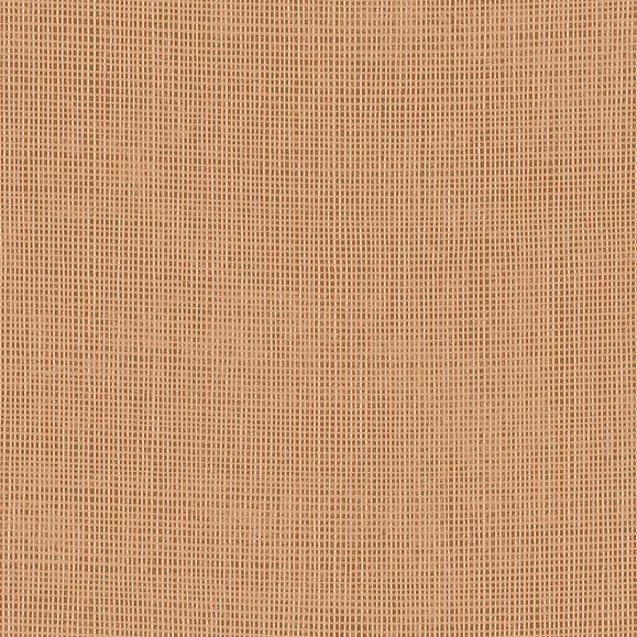 Обои Arte 73090B Tulle Ginger