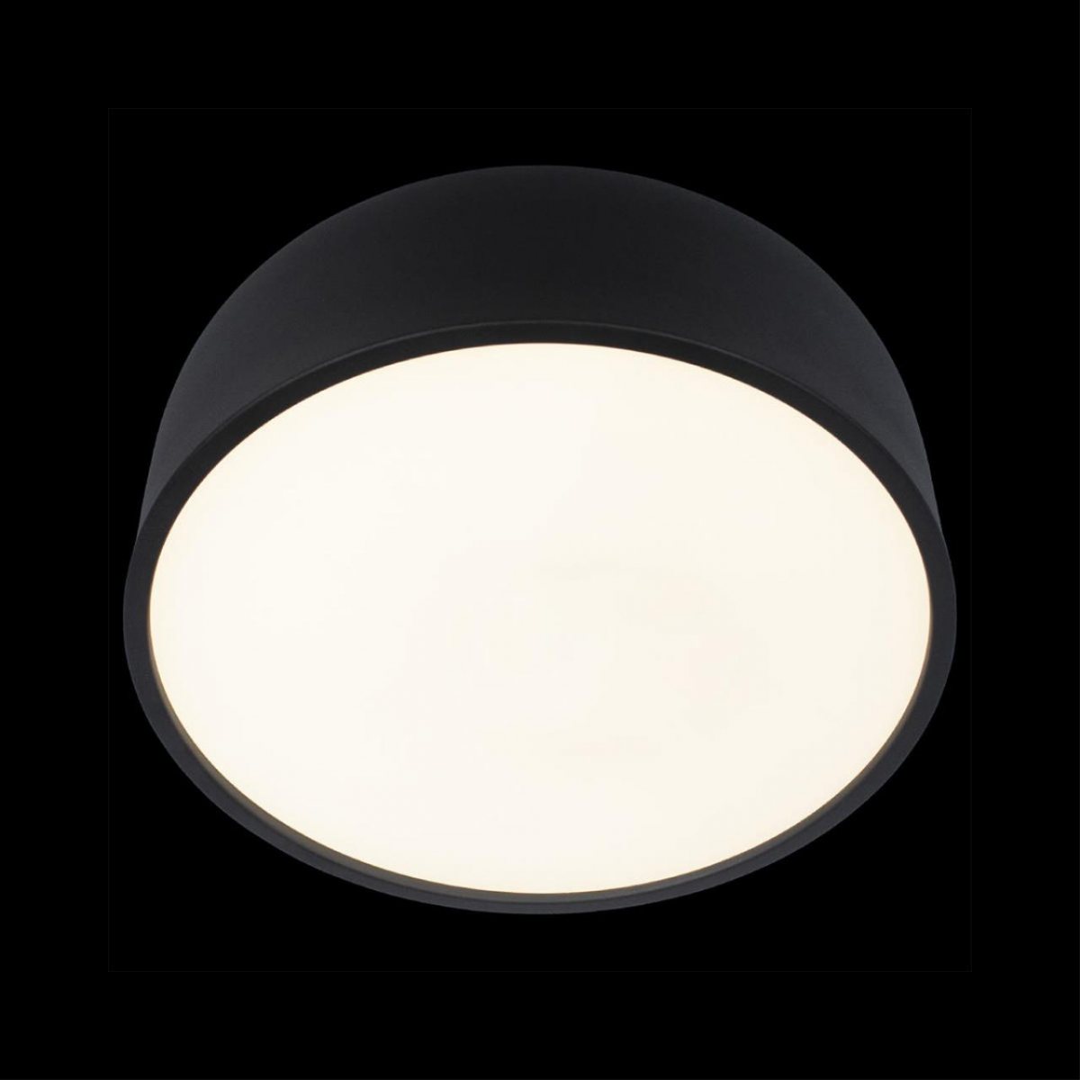 Потолочный светильник Loft IT Axel 10201/350 Black