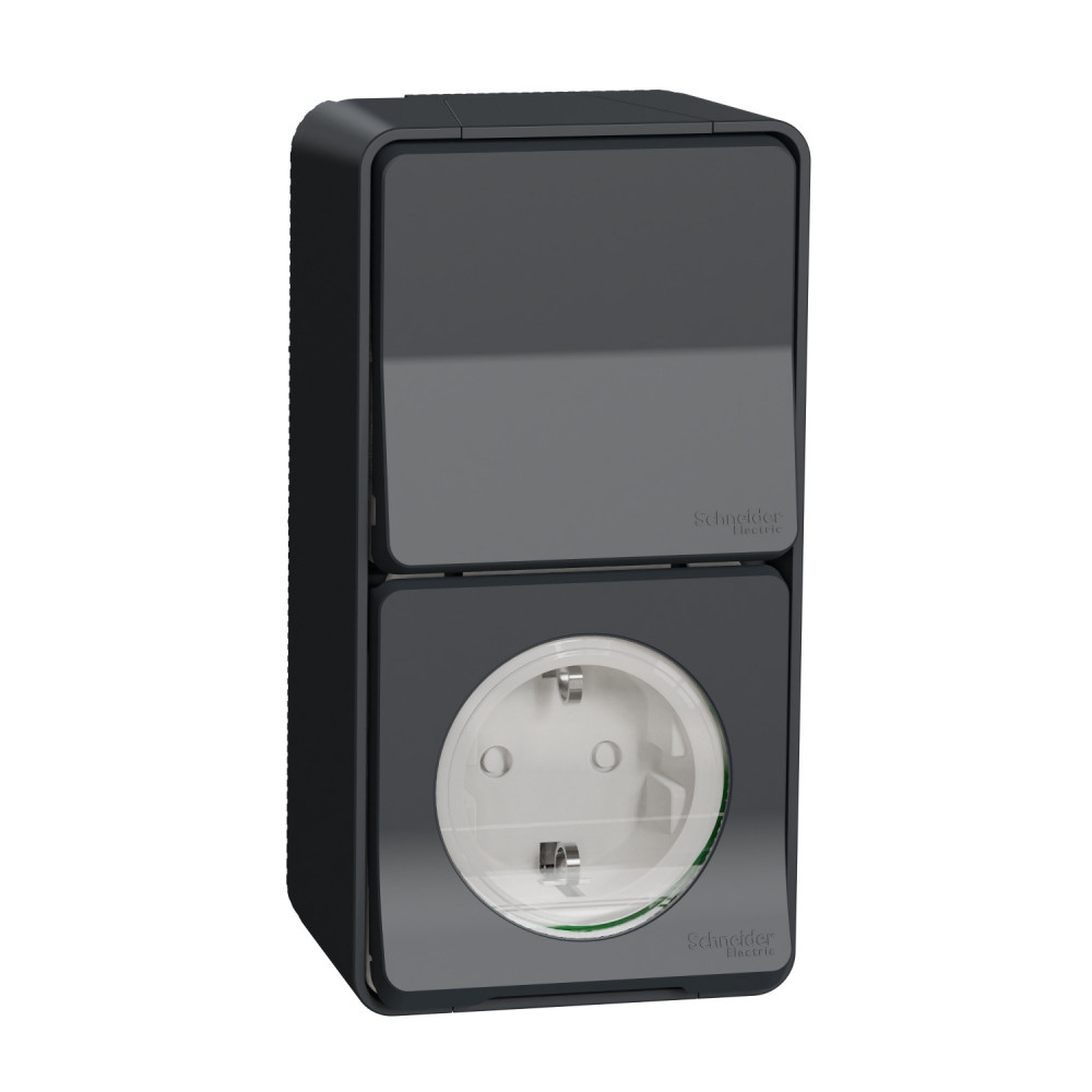 Розетка с выключателем Schneider Electric MUR36924