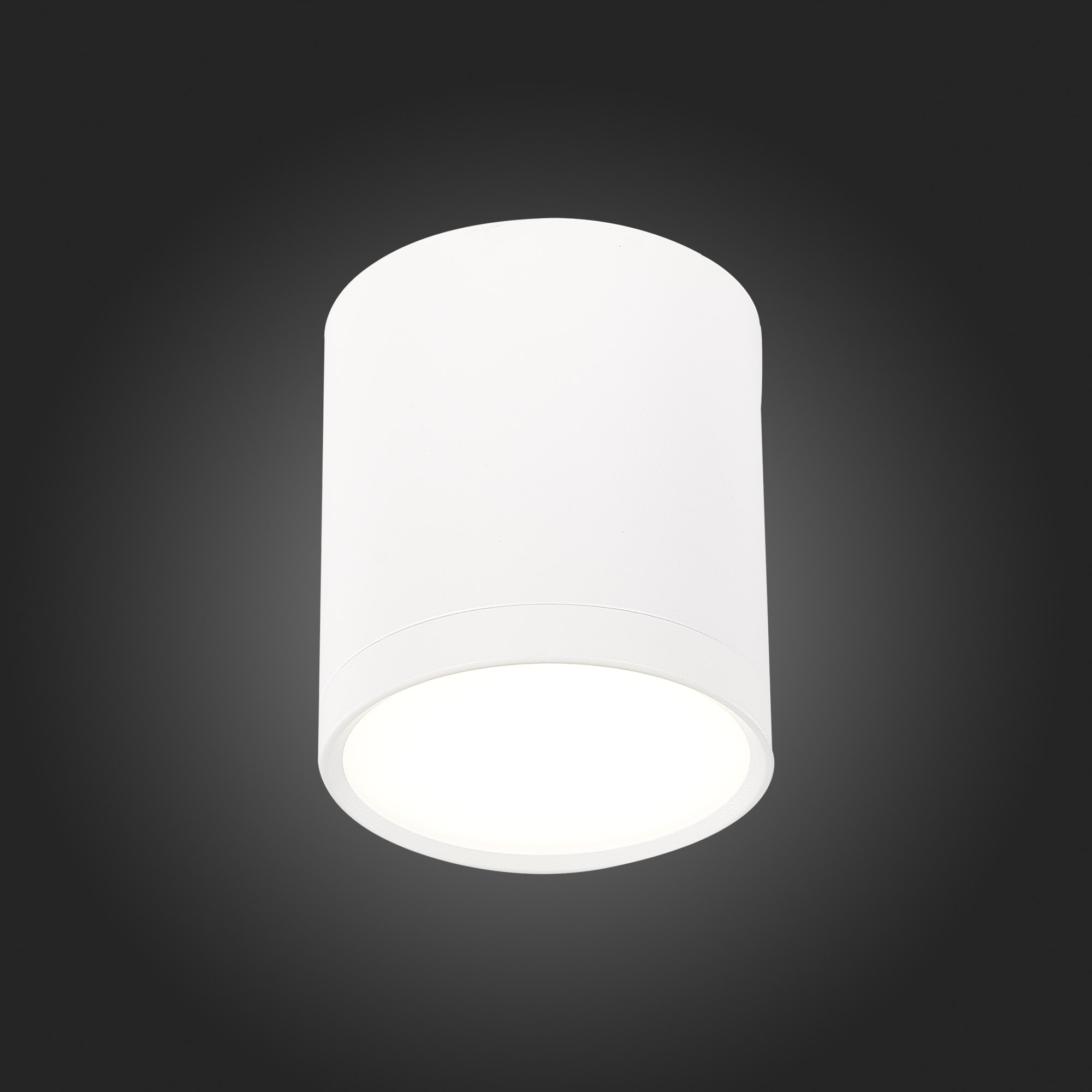 Потолочный светильник ST Luce Rene ST113.542.05