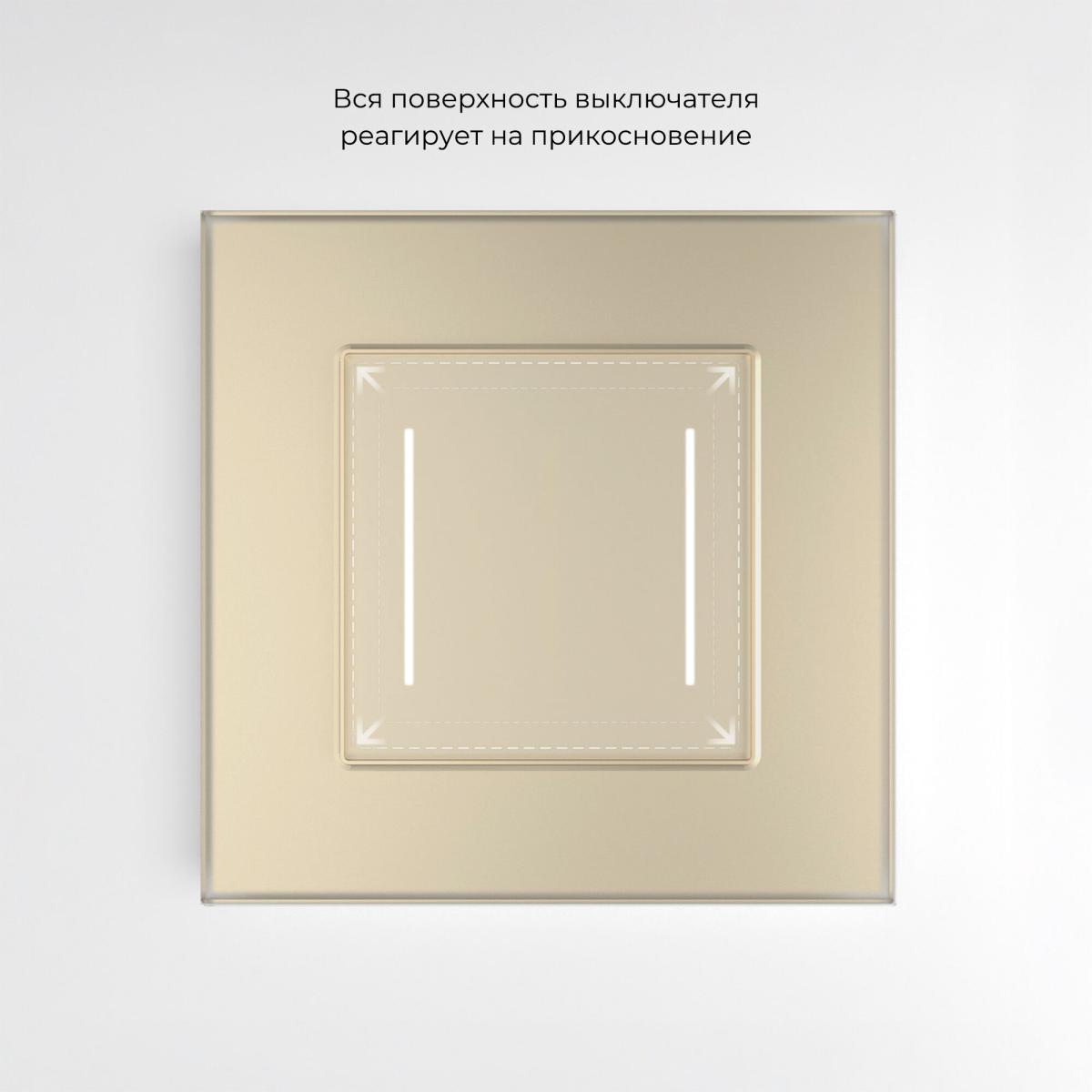 Сенсорный выключатель двухклавишный с подсветкой Werkel 4690389198069 W4522011 a063604
