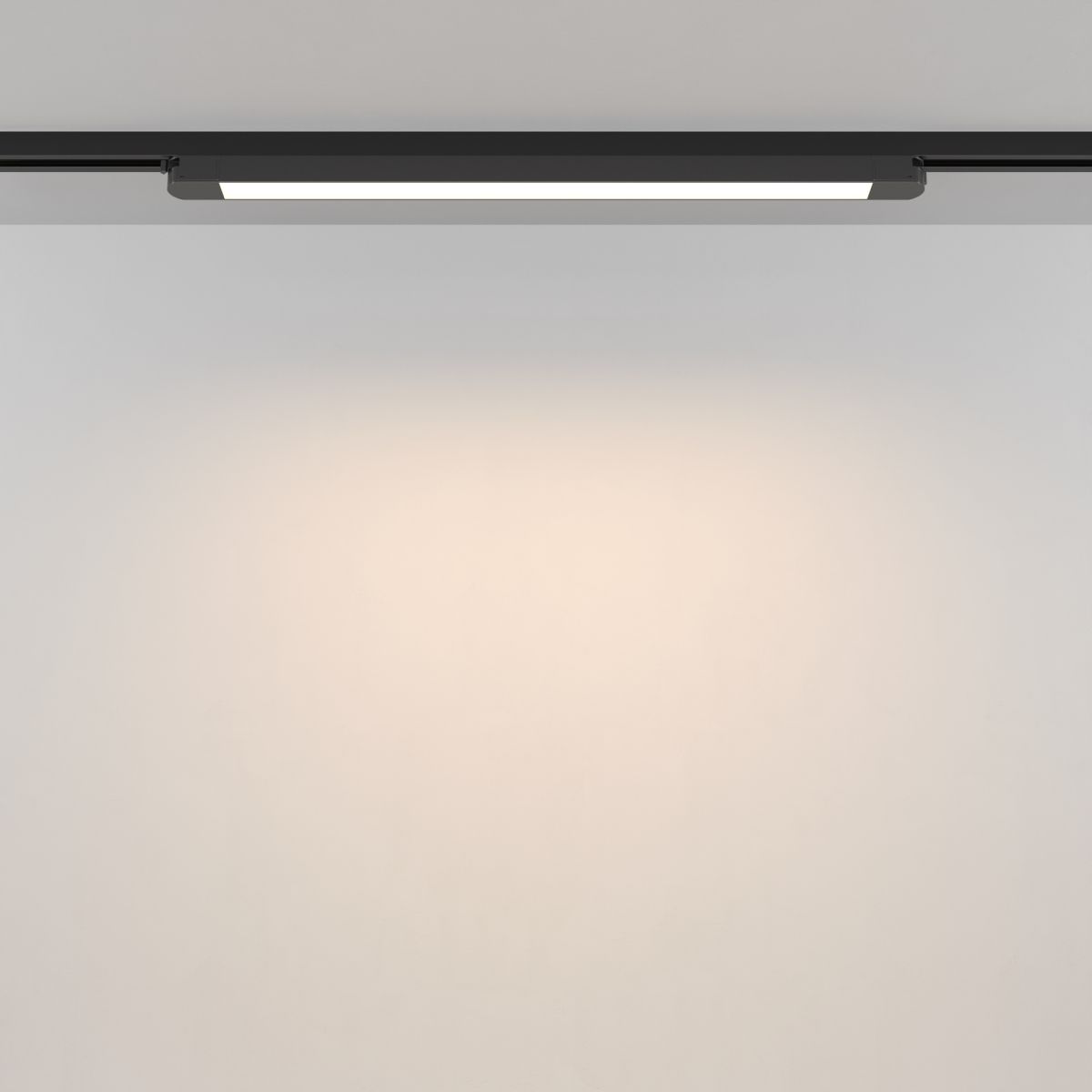 Трековый однофазный светильник Maytoni Technical Basis TR000-1-24W3K-B_1