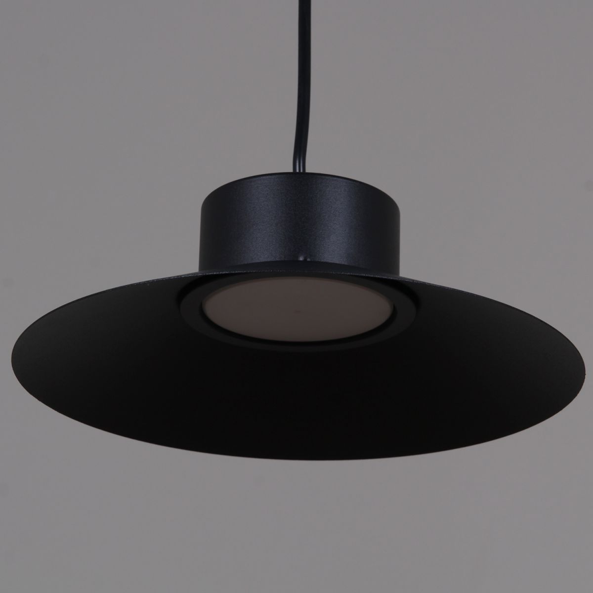 Подвесной светильник Reluce 40110-0.9-03A BK