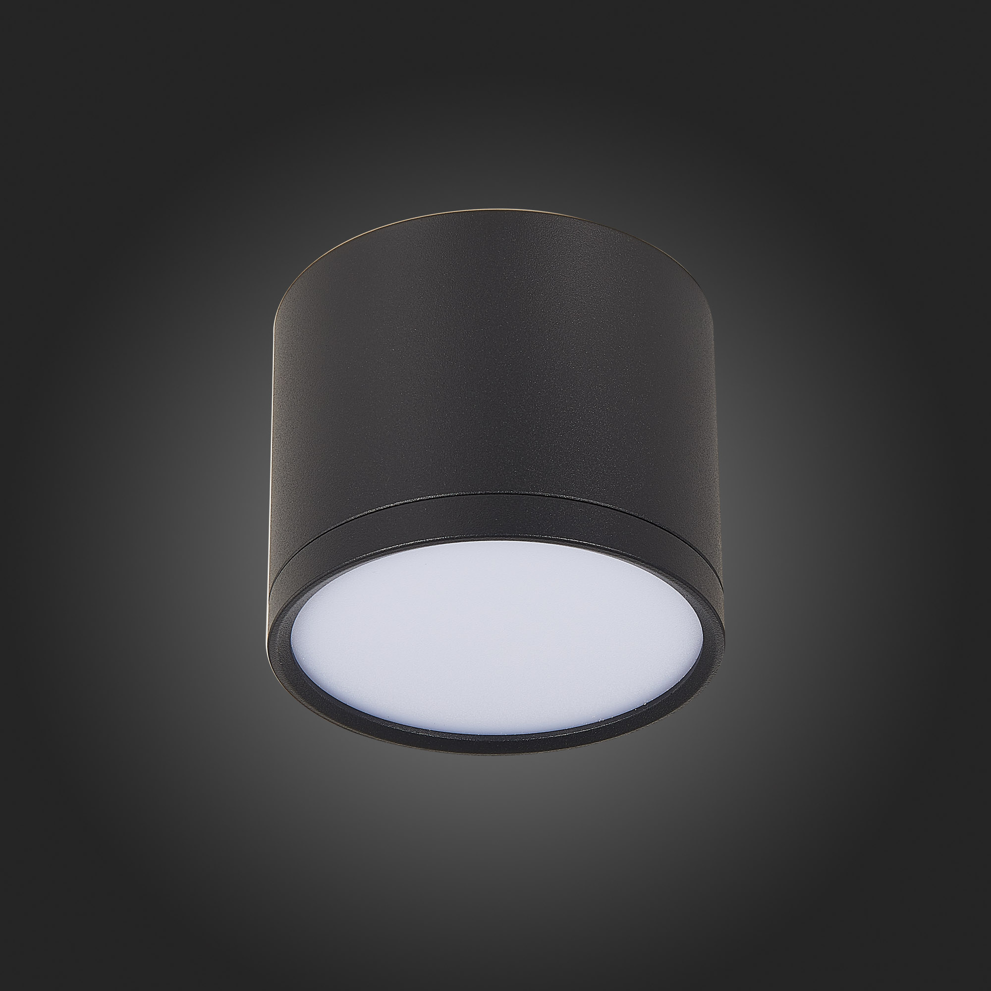 Потолочный светильник ST Luce Rene ST113.442.09