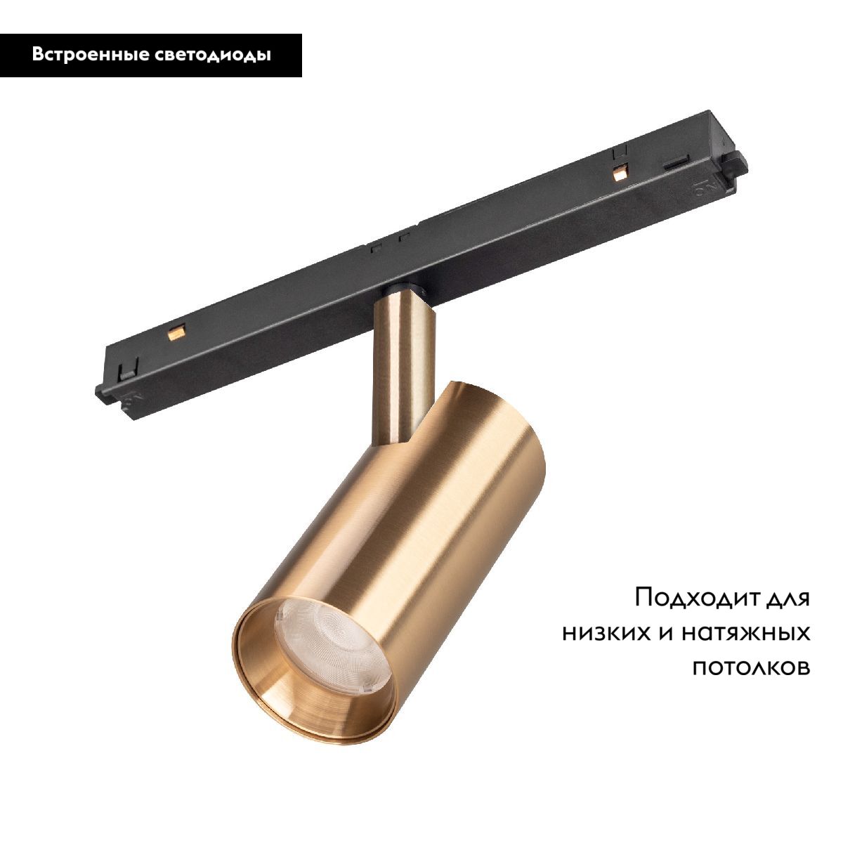 Трековый магнитный светильник Arlight MAG-ORIENT-SPOT-R45-12W Day4000 (GD, 24 deg, 48V) 040889