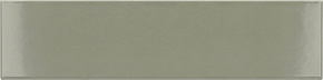 EQUIPE COSTA NOVA Tansy Green Glossy