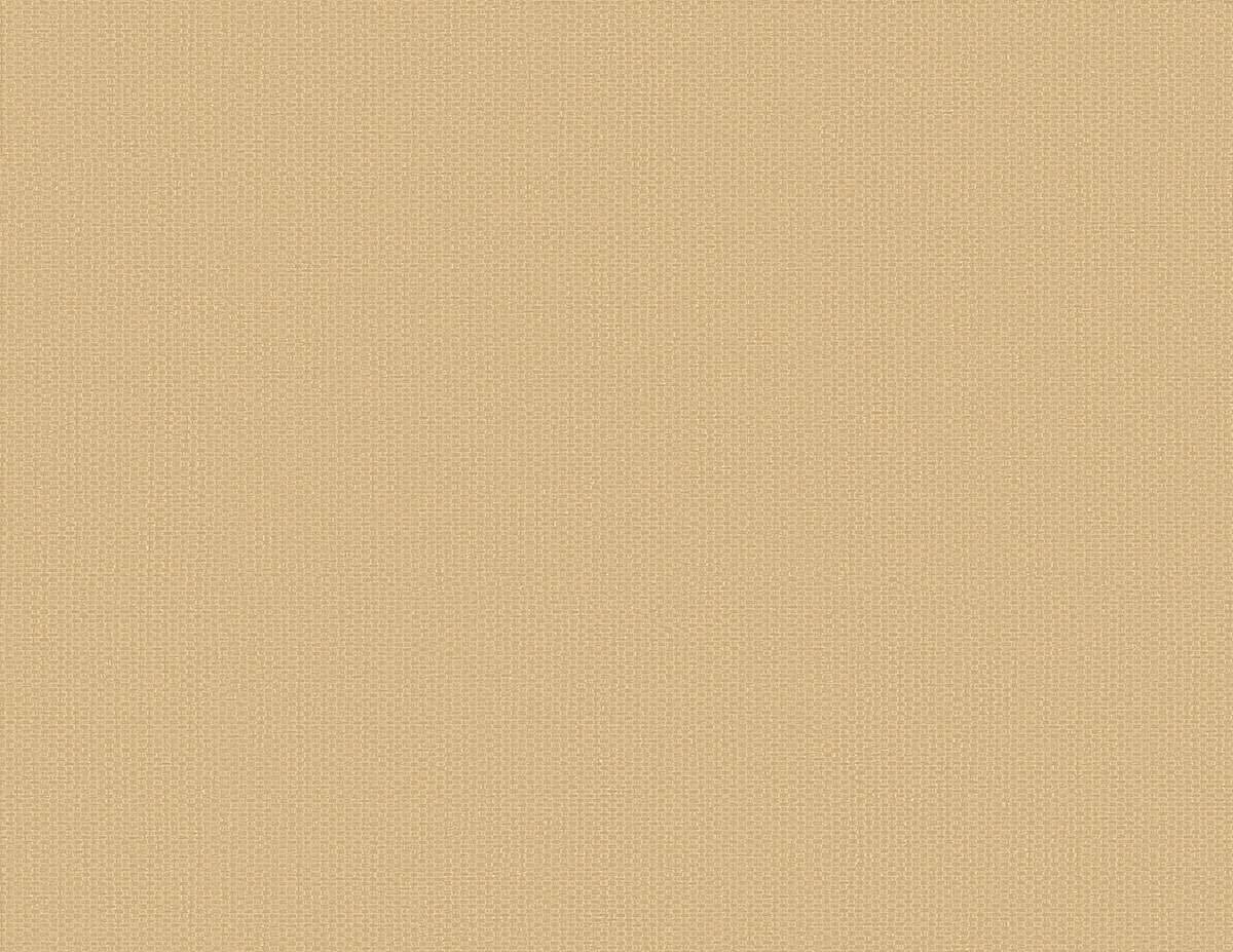 RC10806