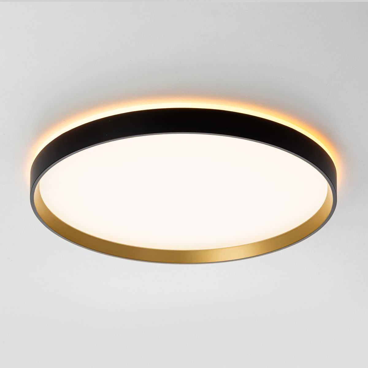 Потолочный светильник Citilux Etalon CL750401R