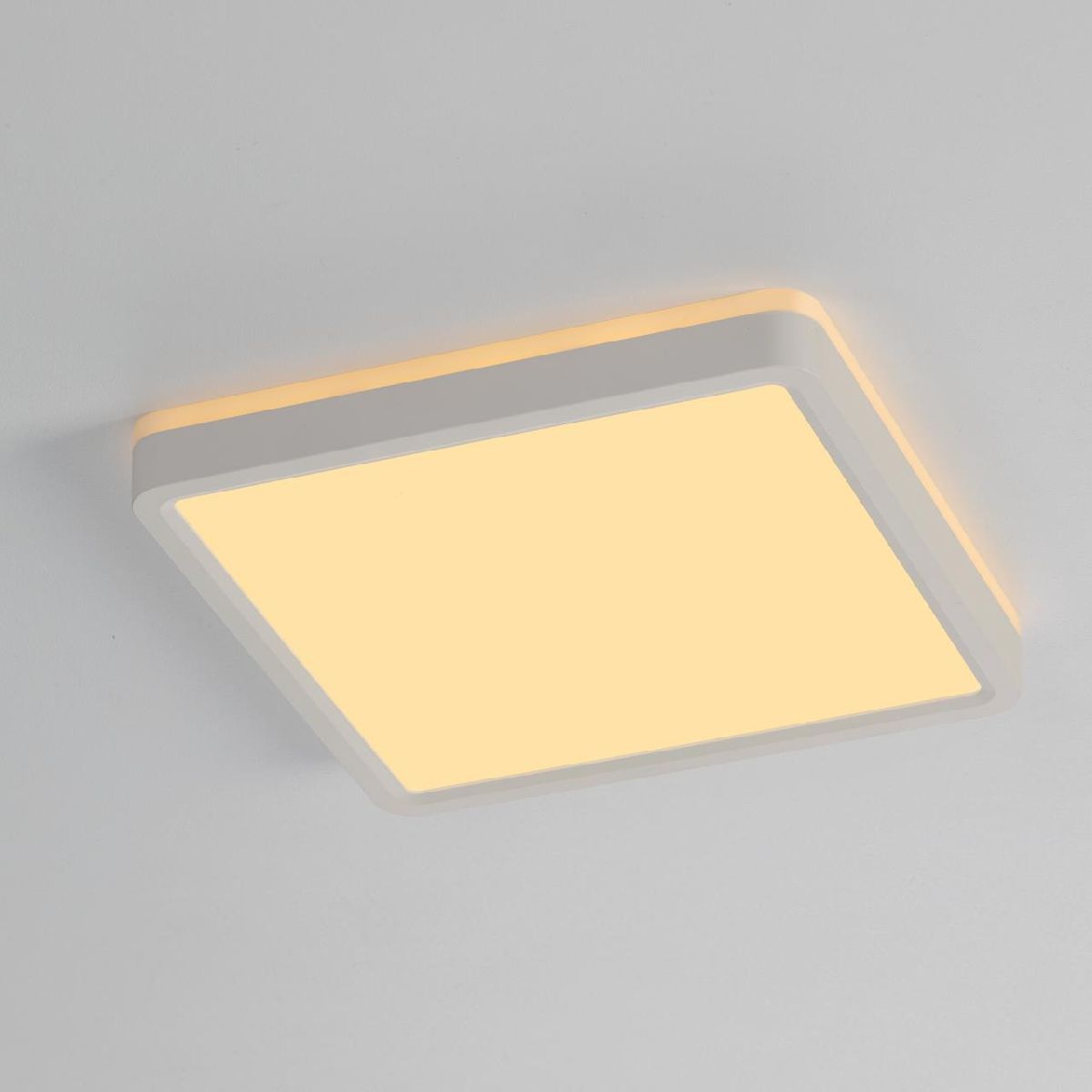 Настенно-потолочный светильник Citilux Norma CL748K200