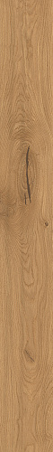ATLAS CONCORDE LOG Forest Amber Oak 9,5 mm
