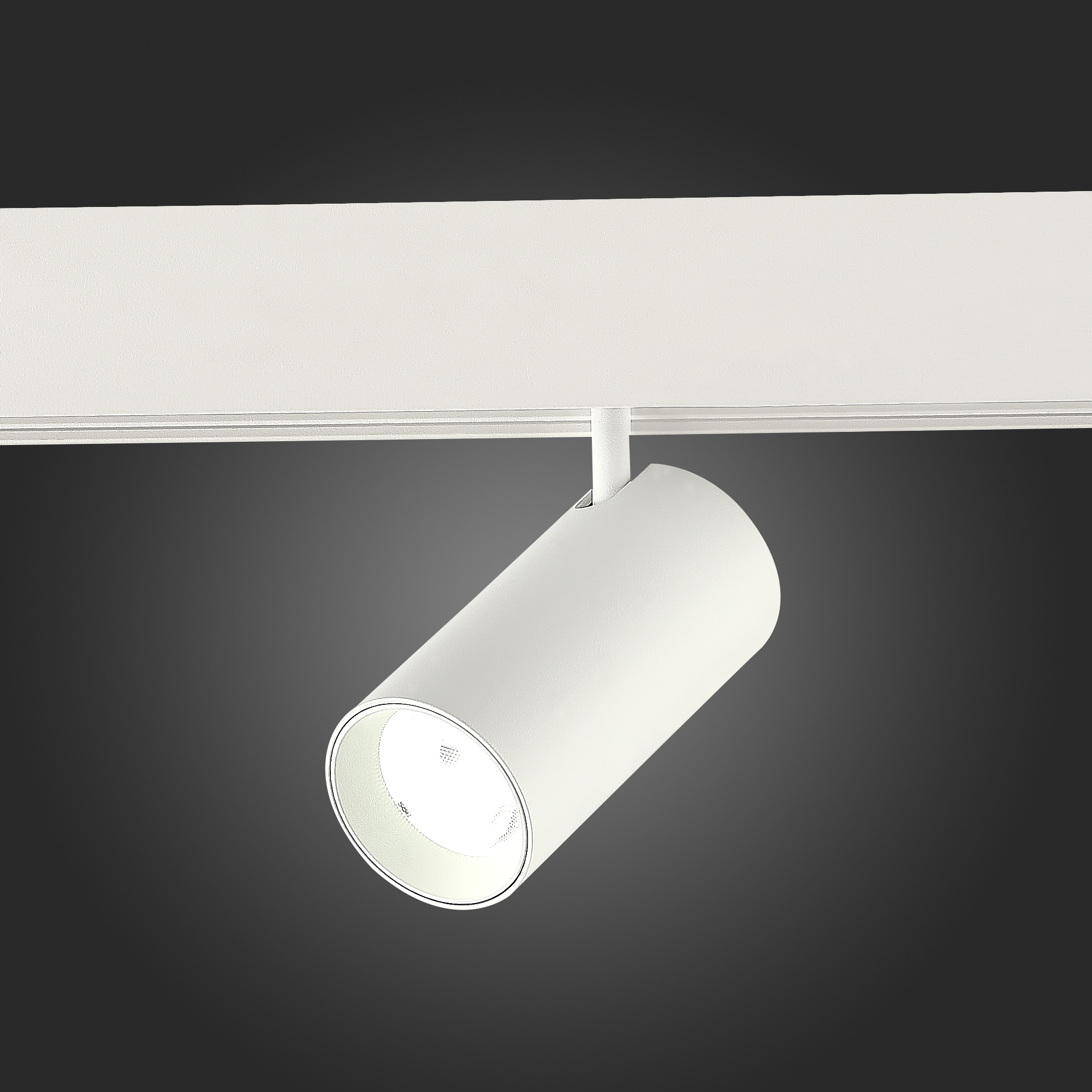 Трековый светильник ST Luce Skyline 48 ST375.506.12
