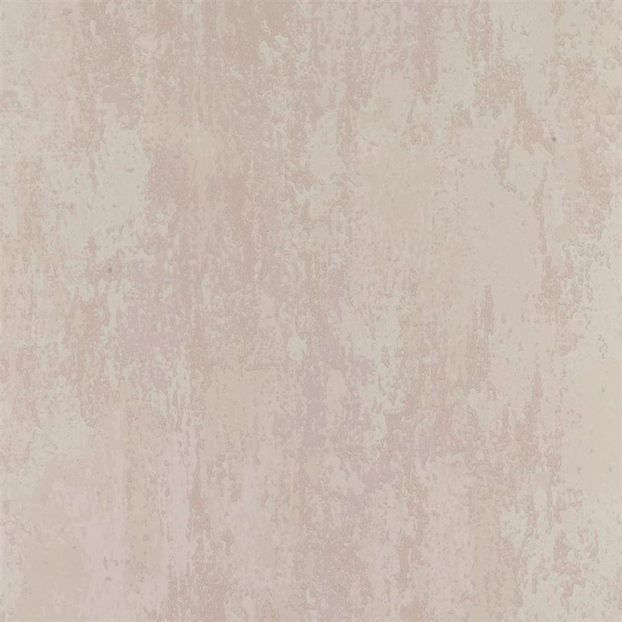 P555/21