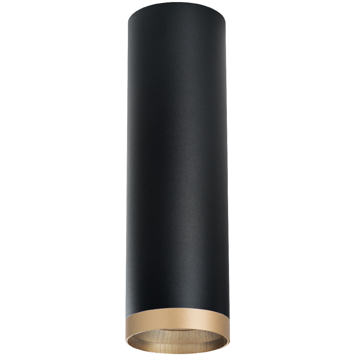Накладной светильник Lightstar Rullo R6497490 (216497+203490)