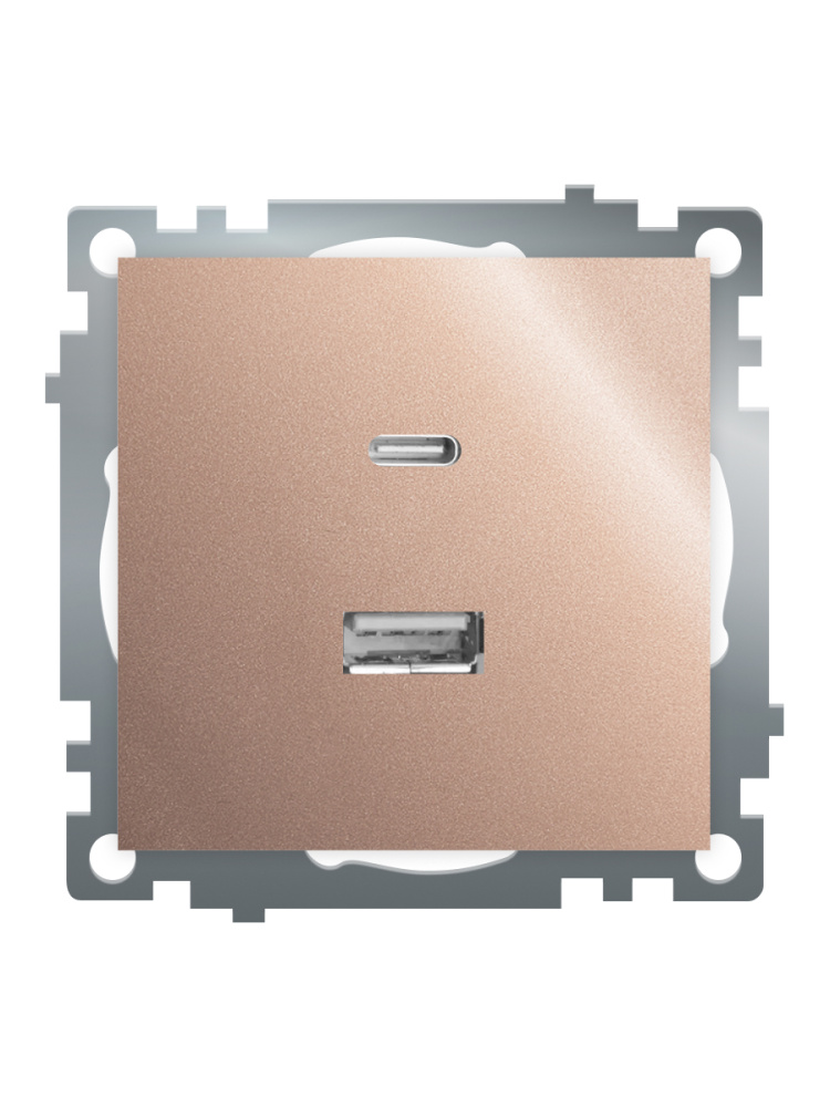 Розетка 2-местная USB + type C Stekker Катрин GLS10-7116-02 50056