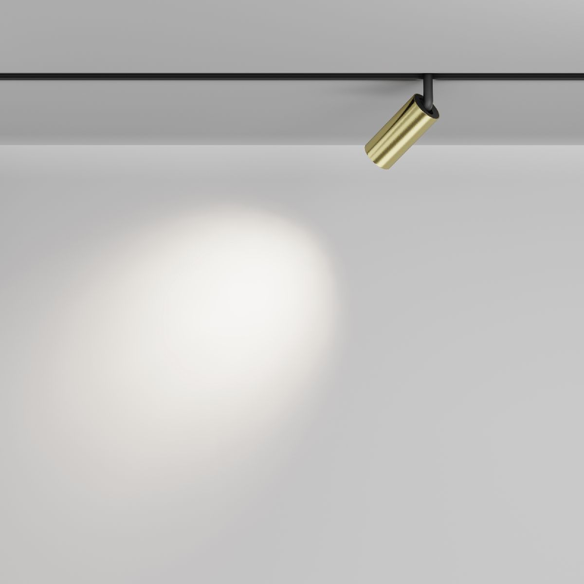 Трековый магнитный светильник Maytoni Focus Led TR032-2-5W4K-M-BBS