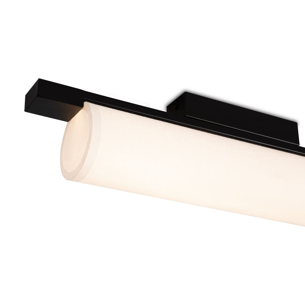 Потолочный светильник Freya Even FR5625CL-L20B