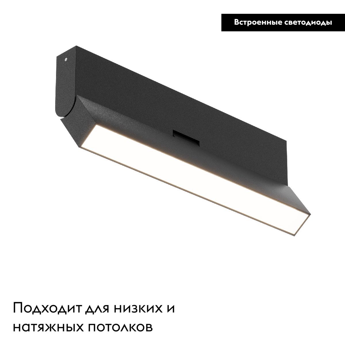 Настенно-потолочный светильник Maytoni Basis Rot C133CL-12W3K-B