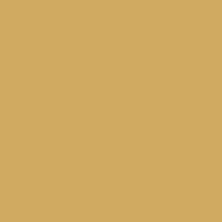 41zero42 PIXEL41 Curry