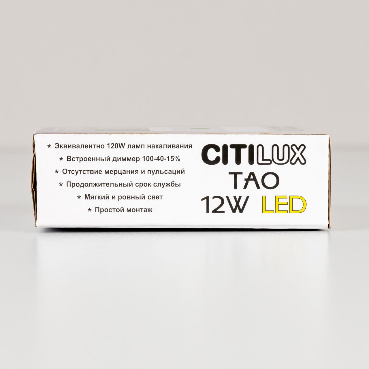 Накладной светодиодный светильник Citilux Тао CL712X120N