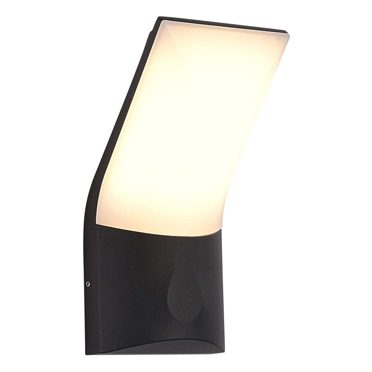 Фасадный светильник ST Luce Bright SL9543.701.01