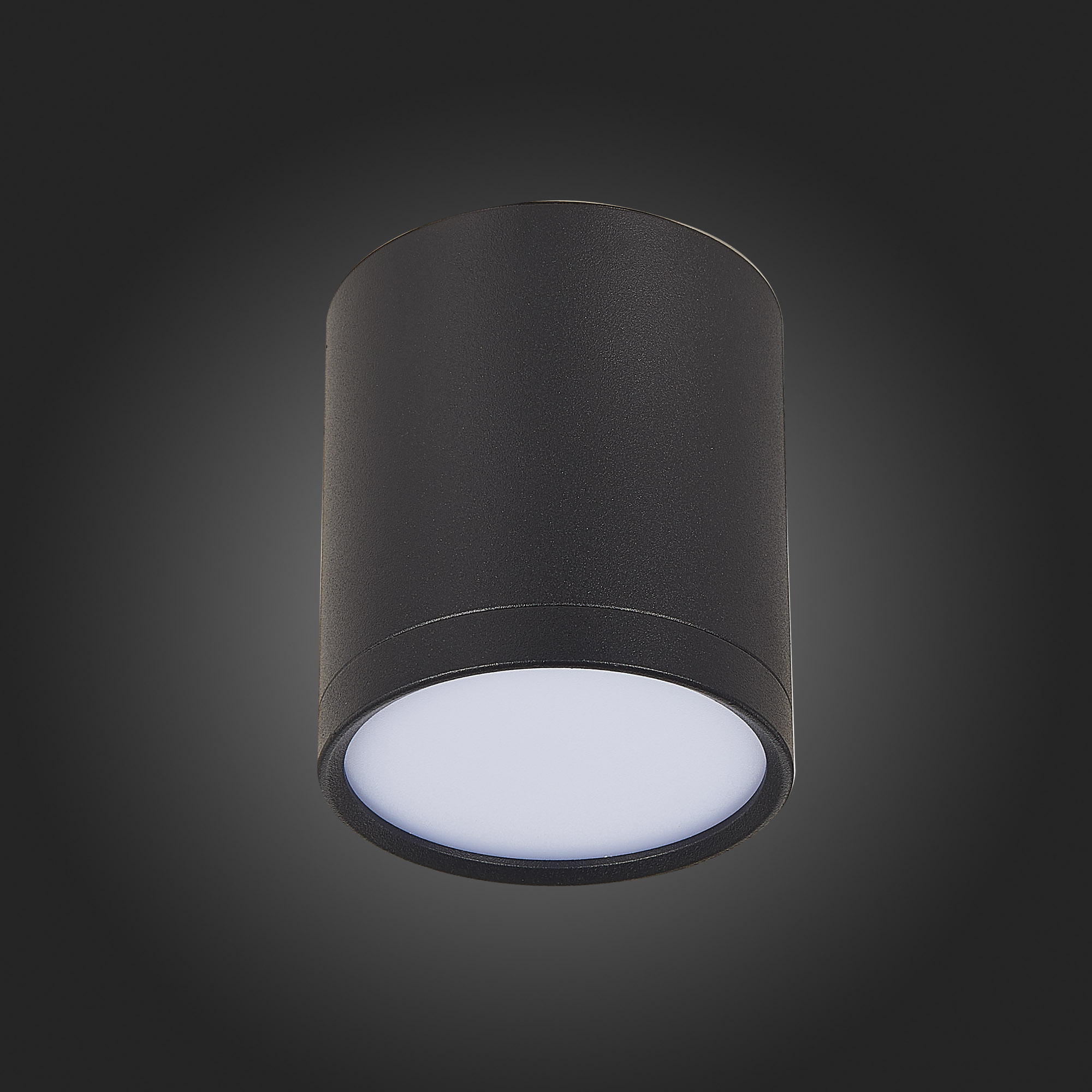 Потолочный светильник ST Luce Rene ST113.442.05