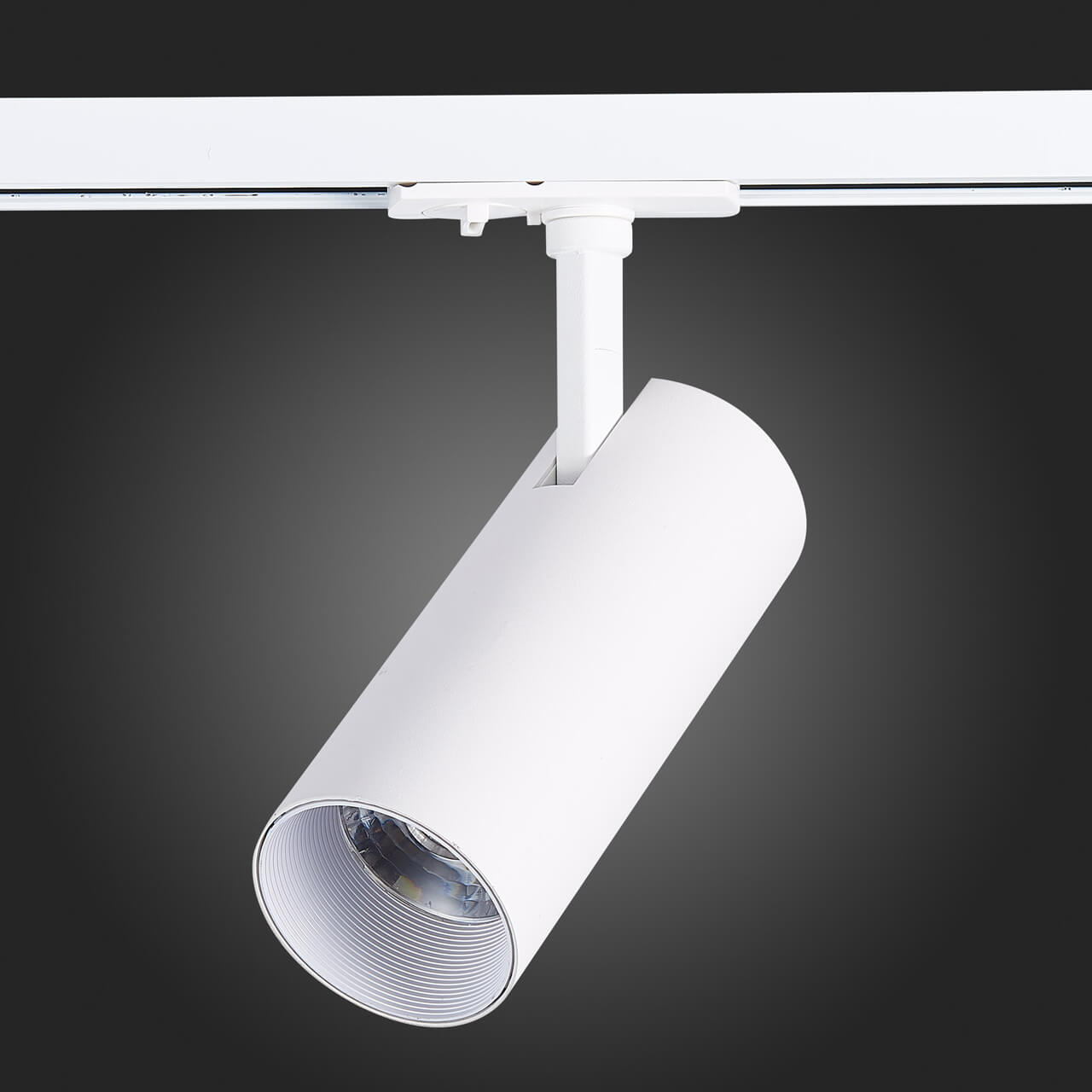 Трековый светильник ST LUCE MONO ST350.546.20.36