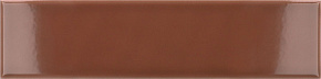 Terra Glossy