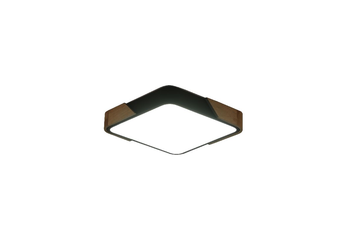 Потолочный светильник Zortes Alberro ZRS.01281.60