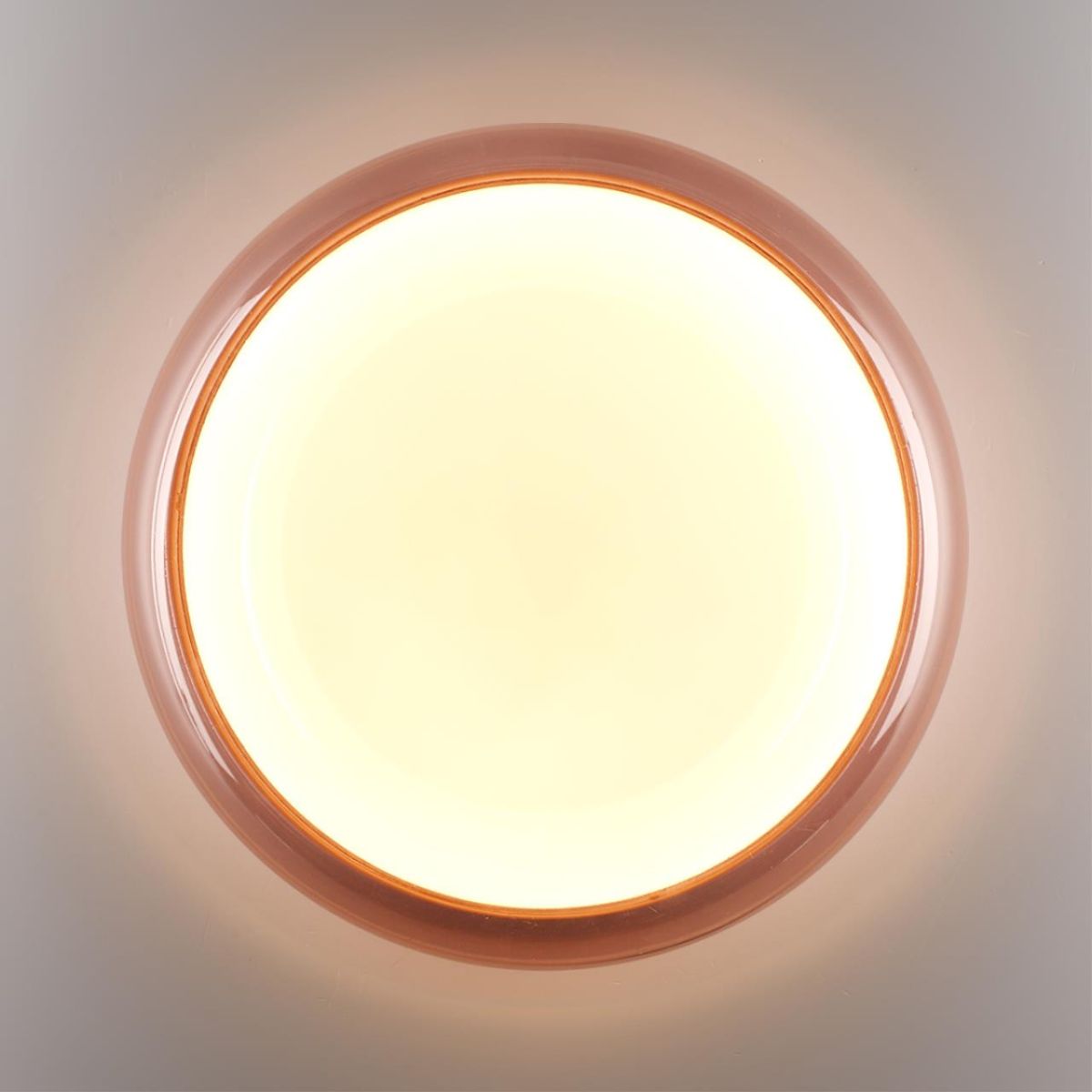 Настенно-потолочный светильник Sonex Color Portman 7778/DLN