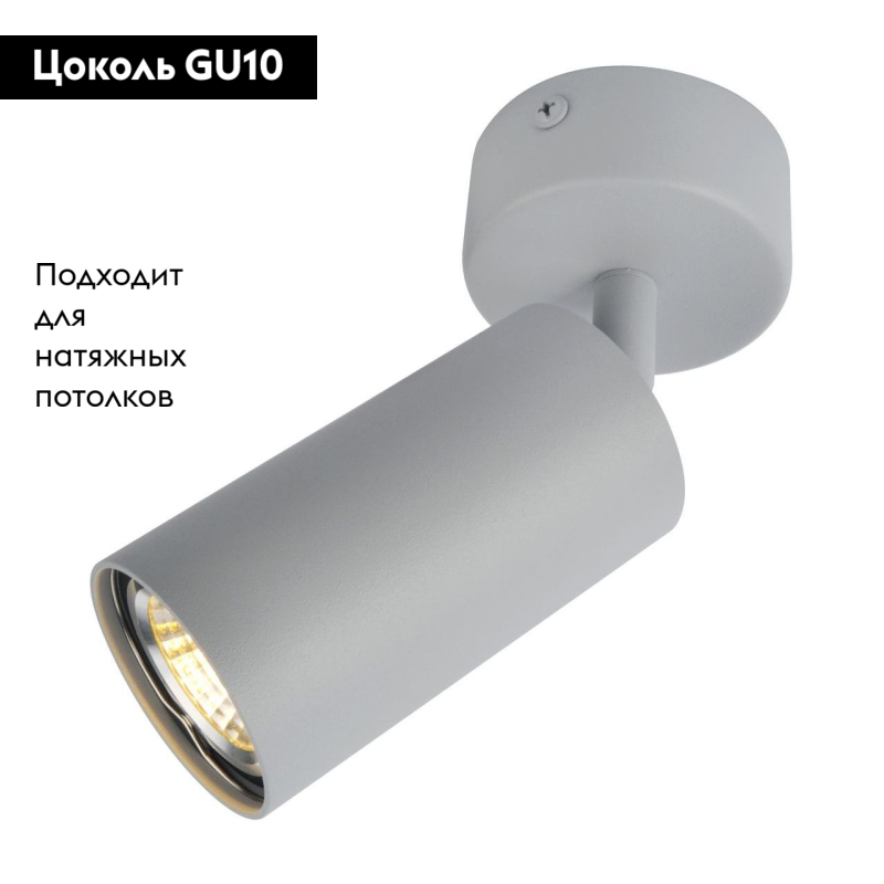 Спот Arte Lamp A3216PL-1GY