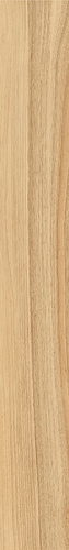 ITALON / ИТАЛОН MAISON Champagne