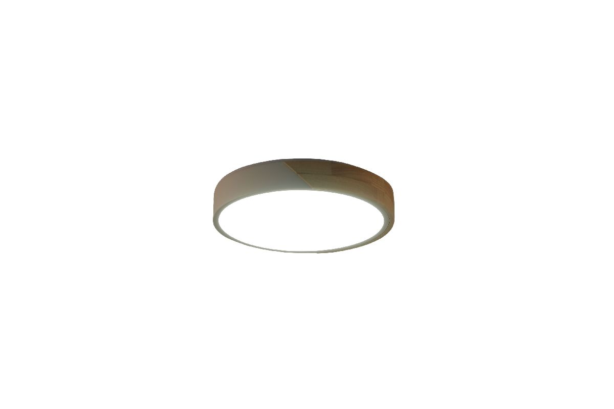 Потолочный светильник Zortes Alberro ZRS.01239.90