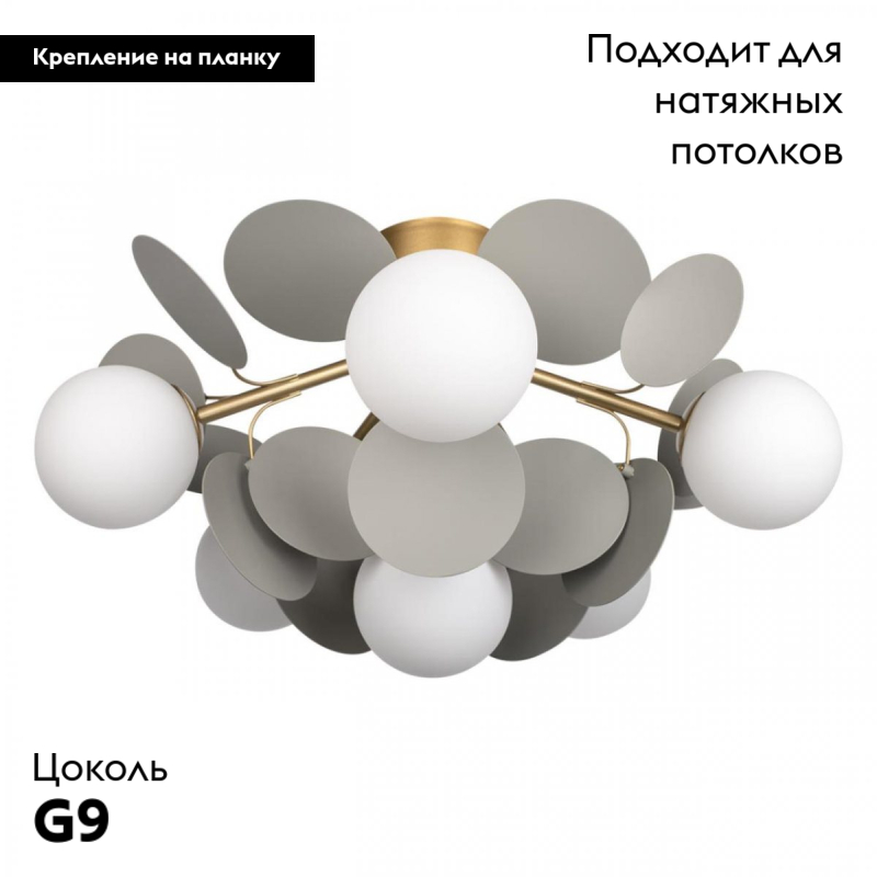 Потолочная люстра Loft IT Matisse 10008/6C Grey