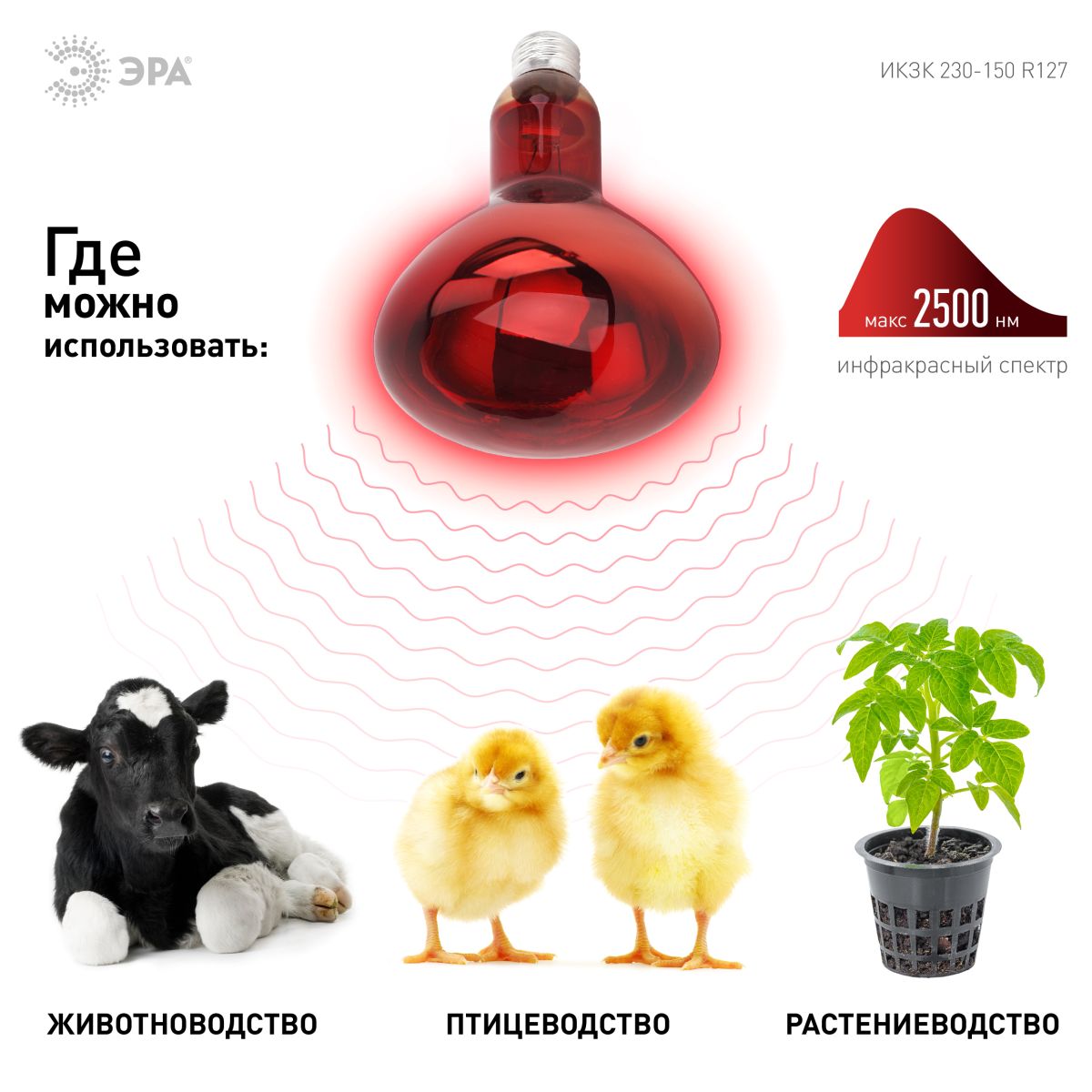 Инфракрасная лампа для обогрева животных и освещения Эра ИКЗК 230-150 R127 Б0055441