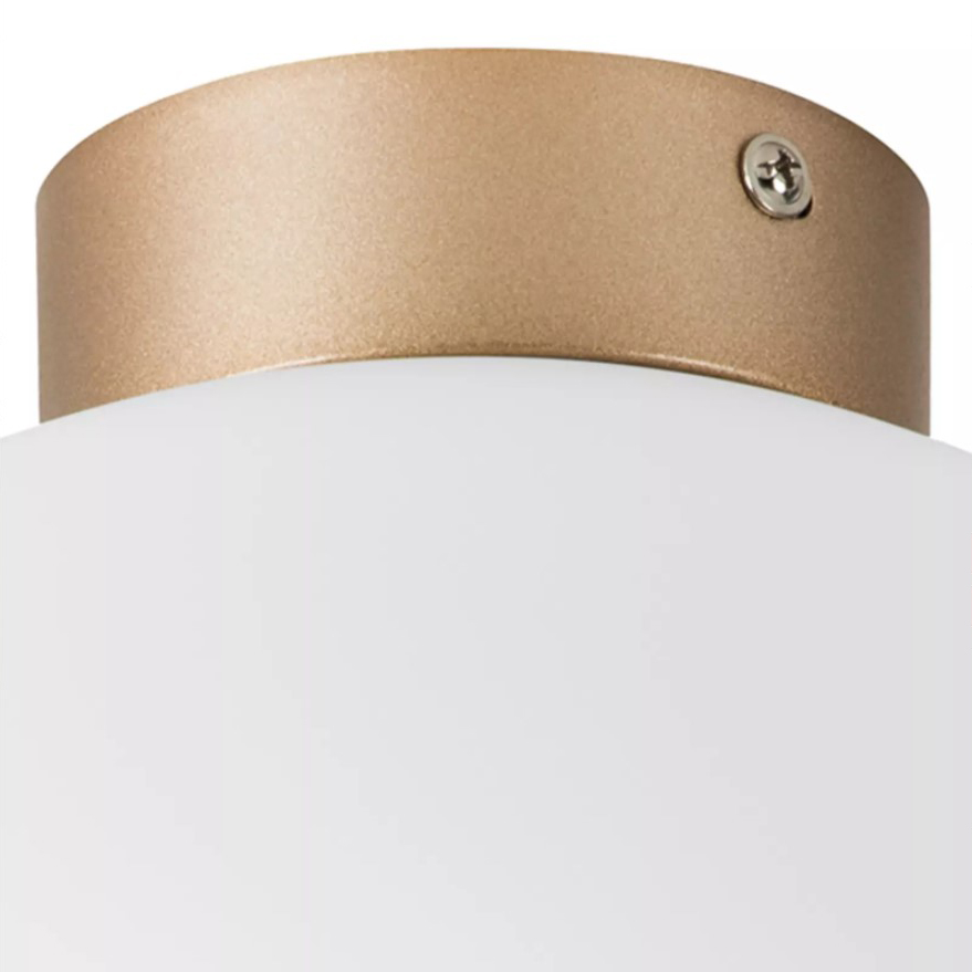 Потолочный светильник Lightstar Globo 812033