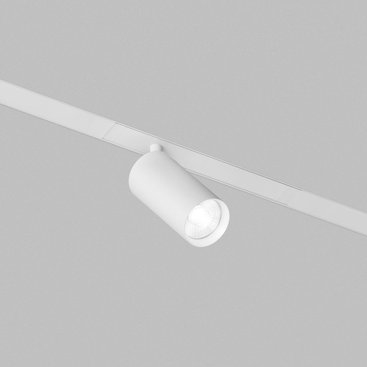 Трековый однофазный светильник Denkirs Simple Spot DK8210-WH
