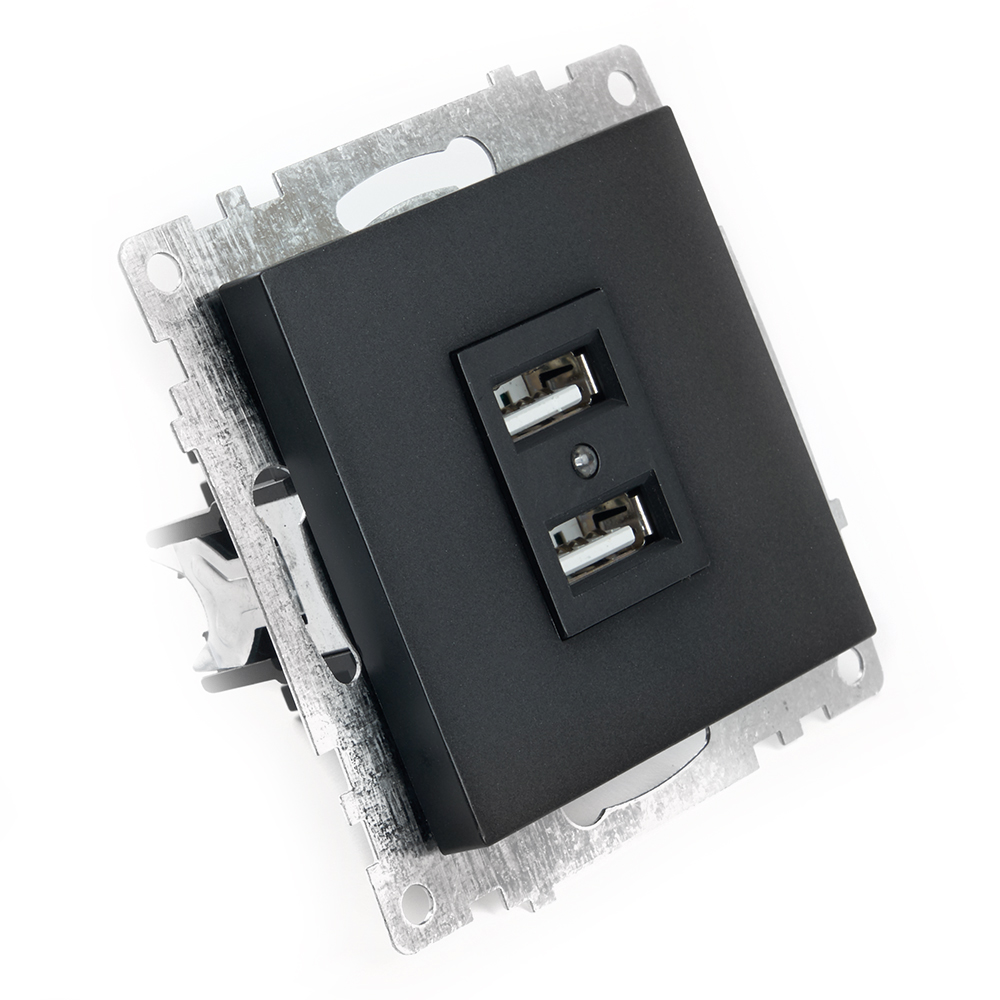 Розетка USB 2-местная Stekker Катрин 39616