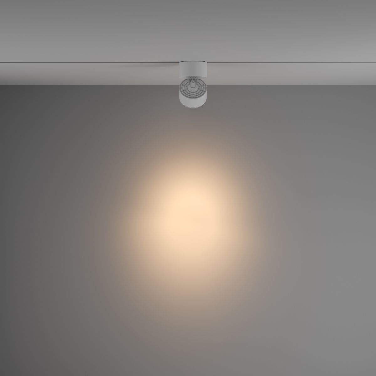 Трековый светильник Maytoni Technical Yin TR084-1-15W3K-W
