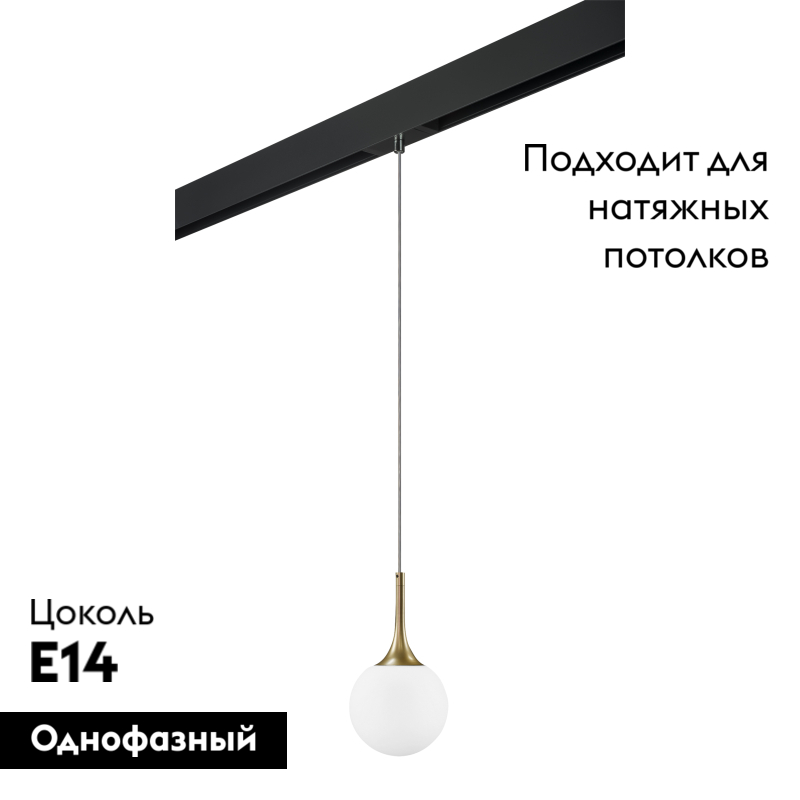 Трековый светильник Lightstar Globo PRO813012 (813012+595007)
