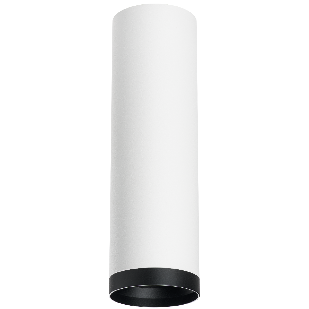 Накладной светильник Lightstar Rullo R64963487 (216496+203487)