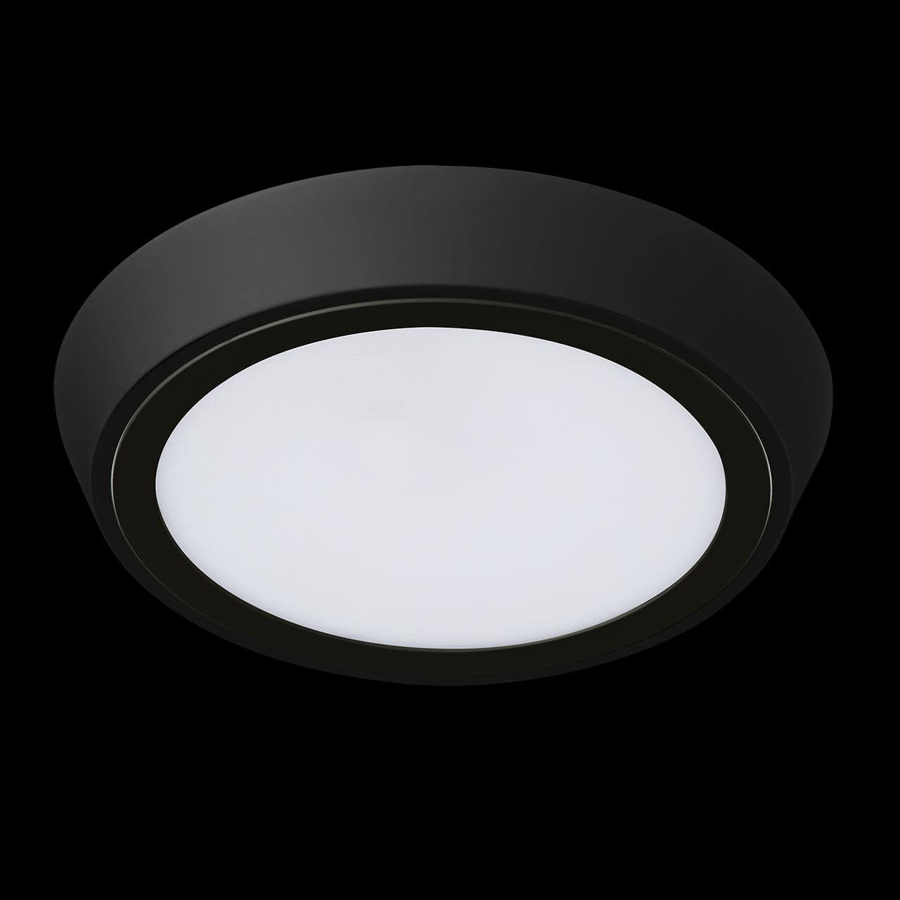 Уличный светильник Lightstar 216972
