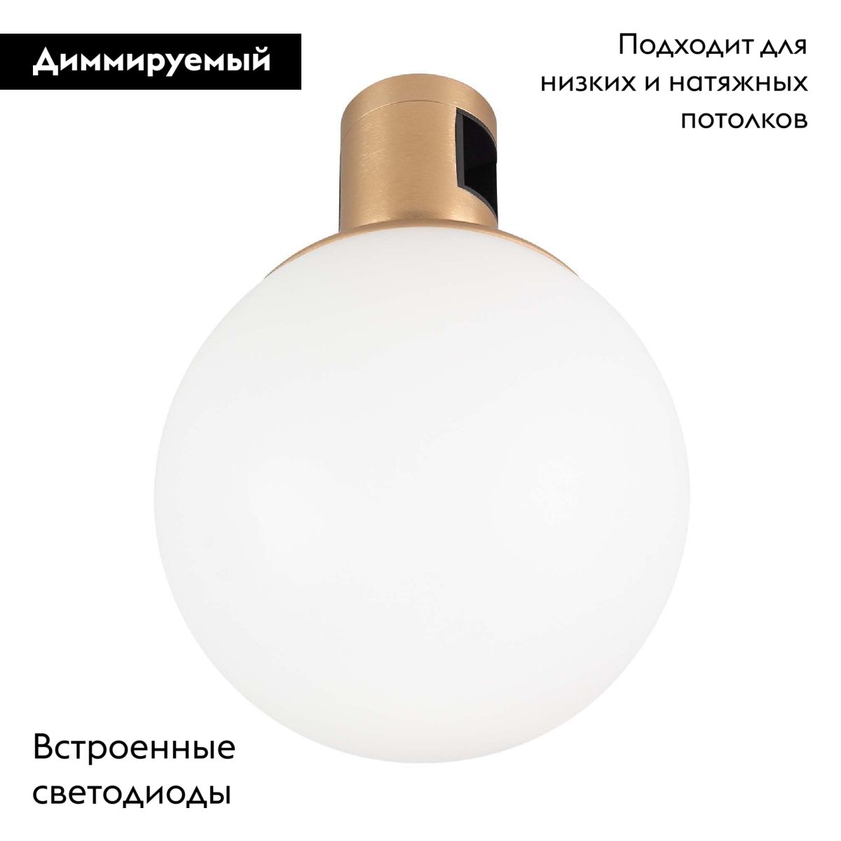 Трековый светильники Arlight ART-APRIORI-SFERO-R120-5W Day4000 044905