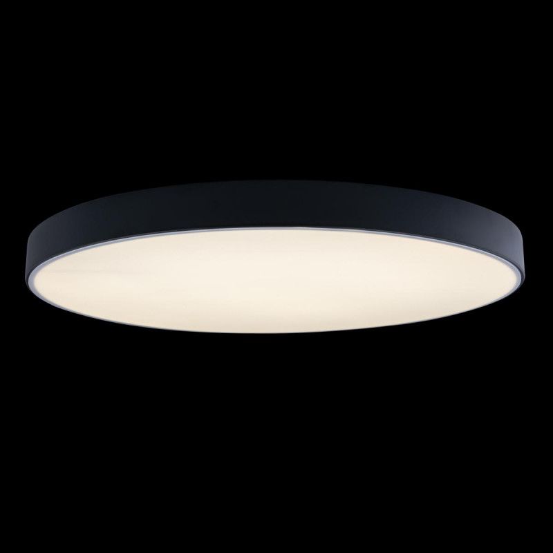 Потолочный светильник Loft IT AXEL 10002/48 Black