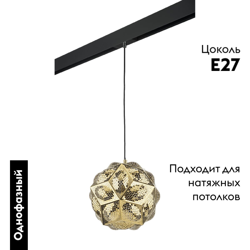 Трековый однофазный светильник Lightstar Fermo (724312+595007) PRO724312