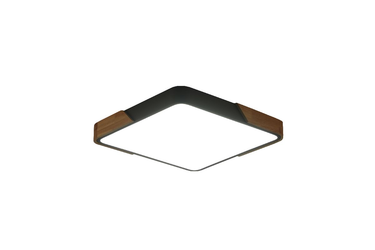 Потолочный светильник Zortes Alberro ZRS.01288.60