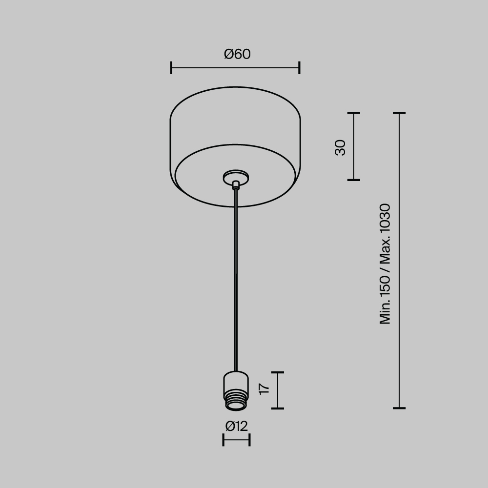 Тросовый подвес с потолочной чашей Maytoni Shelf CA029SW-L1000-B