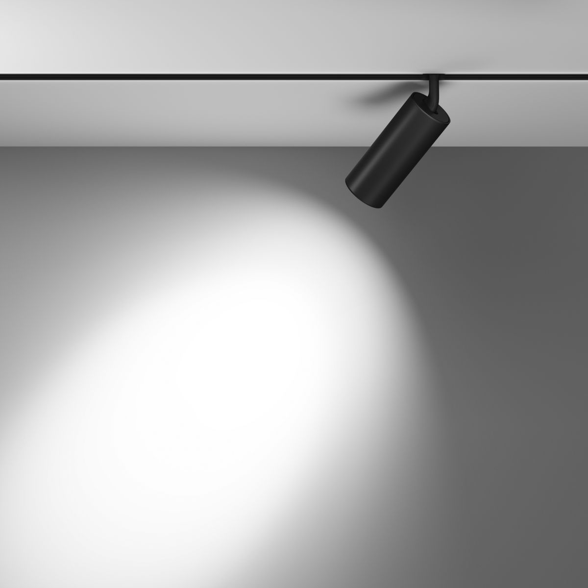Трековый магнитный светильник Maytoni Focus LED TR032-4-20WTW-M-DD2-B