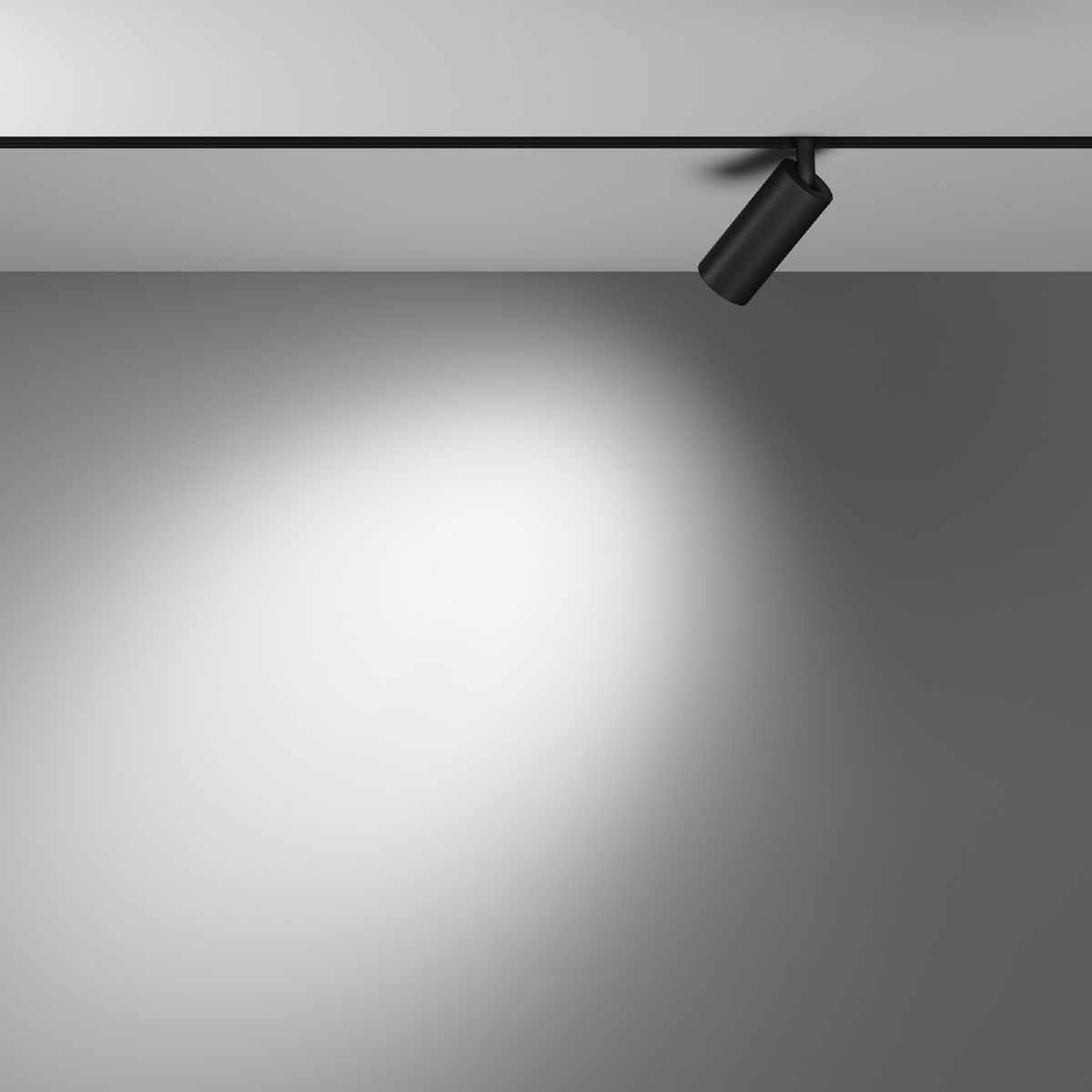 Трековый светодиодный светильник Maytoni Technical Focus Led TR032-2-5W3K-M-B